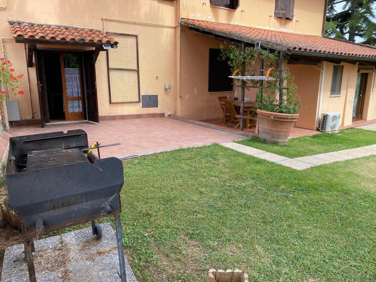 Agriturismo Terranera Scansano Kültér fotó