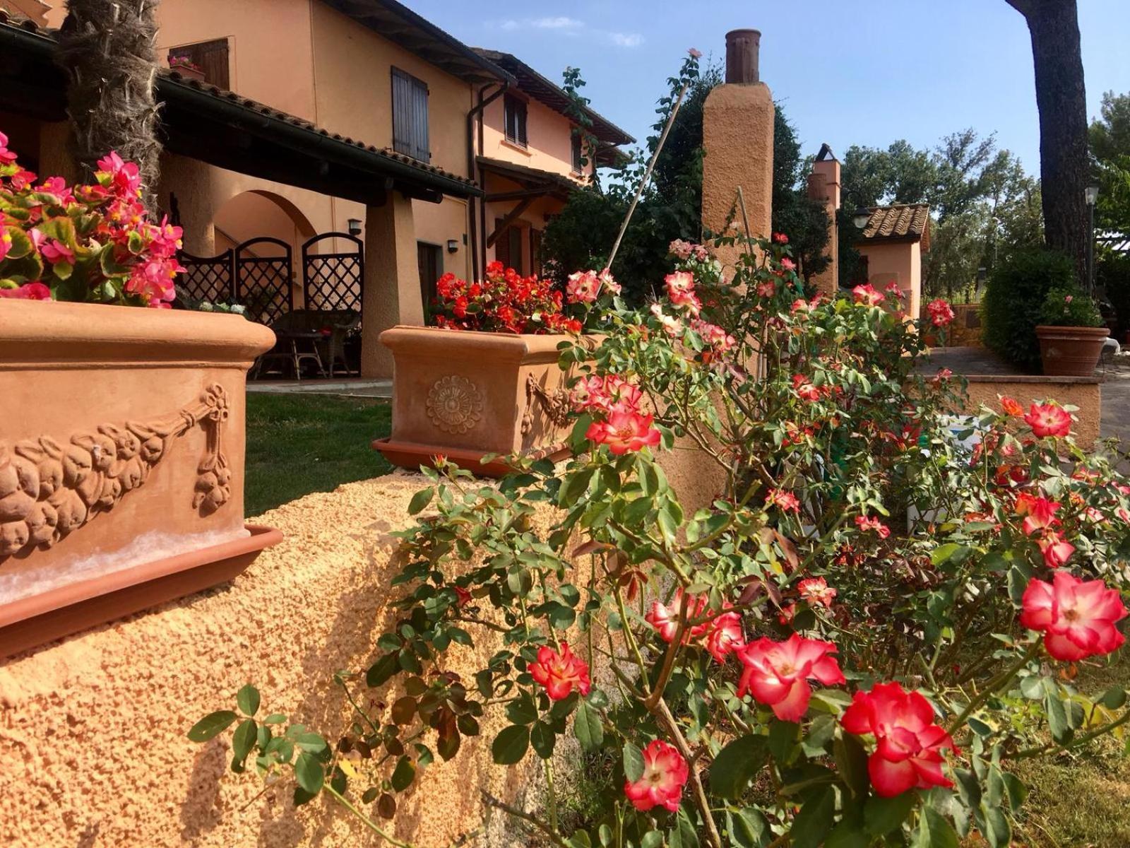 Agriturismo Terranera Scansano Kültér fotó