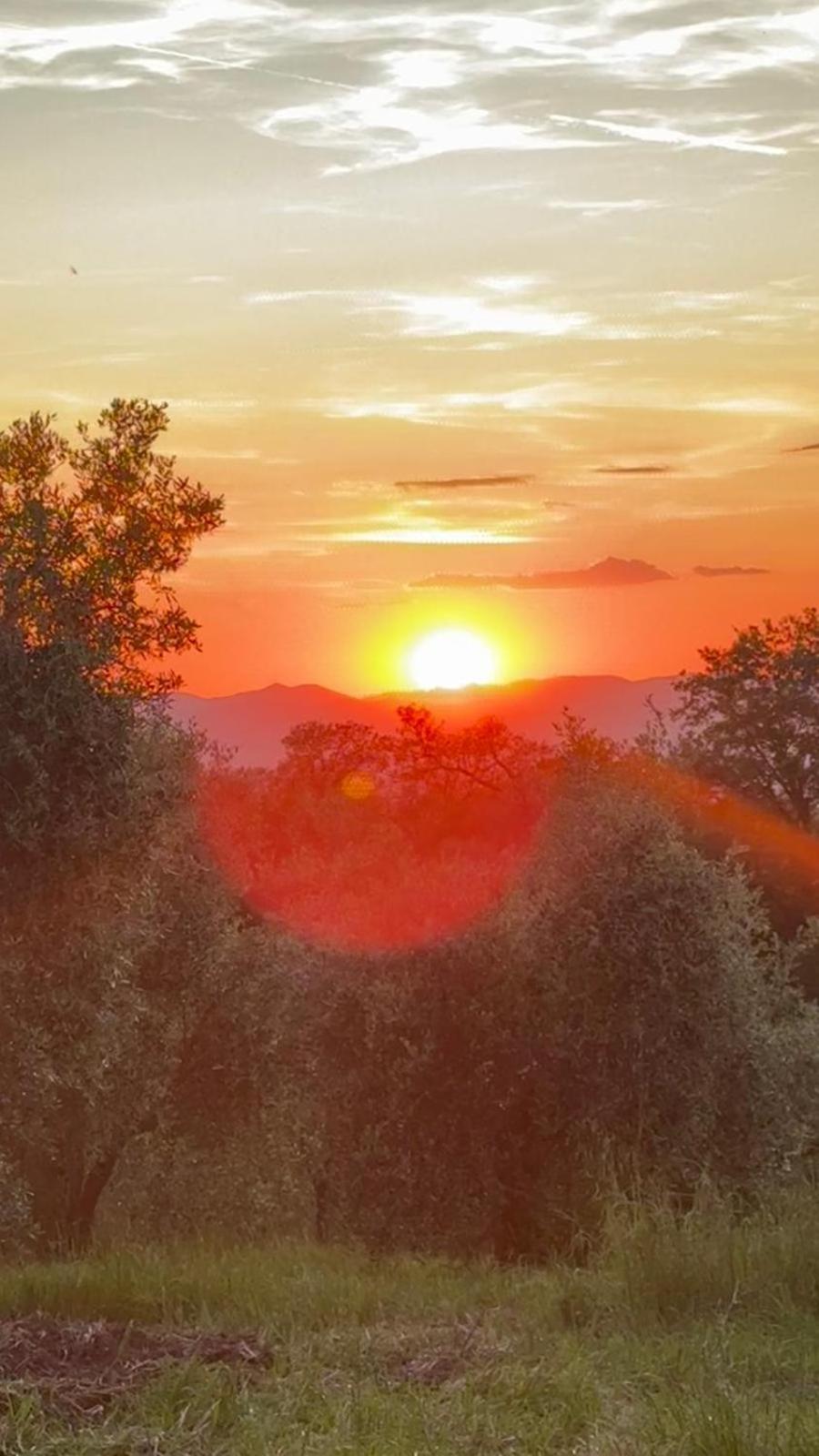 Agriturismo Terranera Scansano Kültér fotó