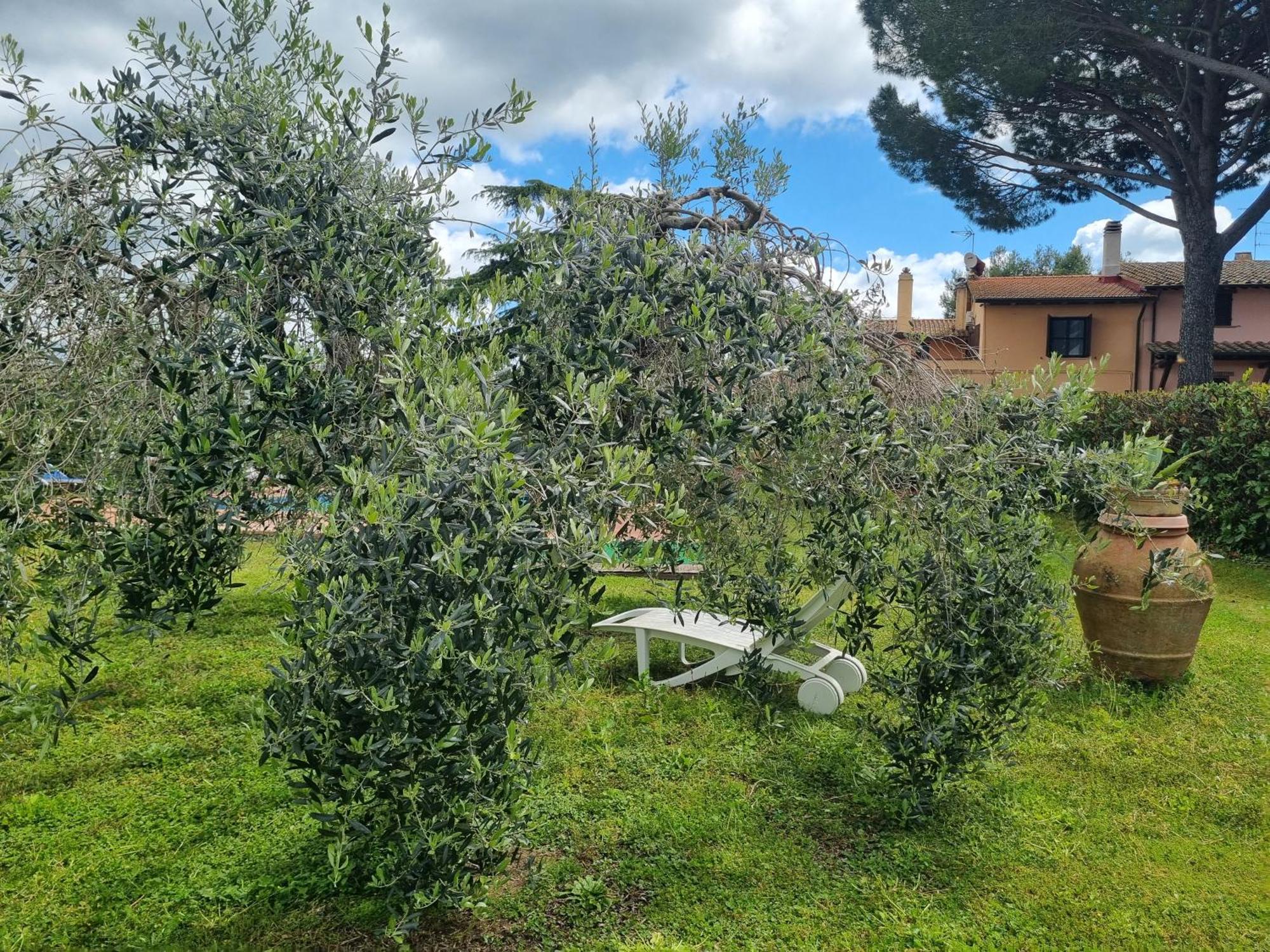 Agriturismo Terranera Scansano Kültér fotó