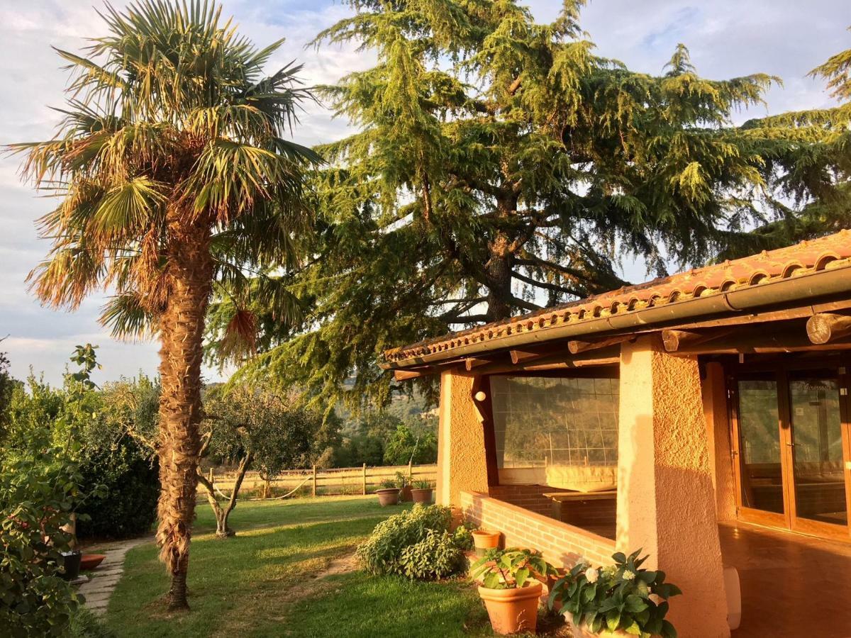 Agriturismo Terranera Scansano Kültér fotó