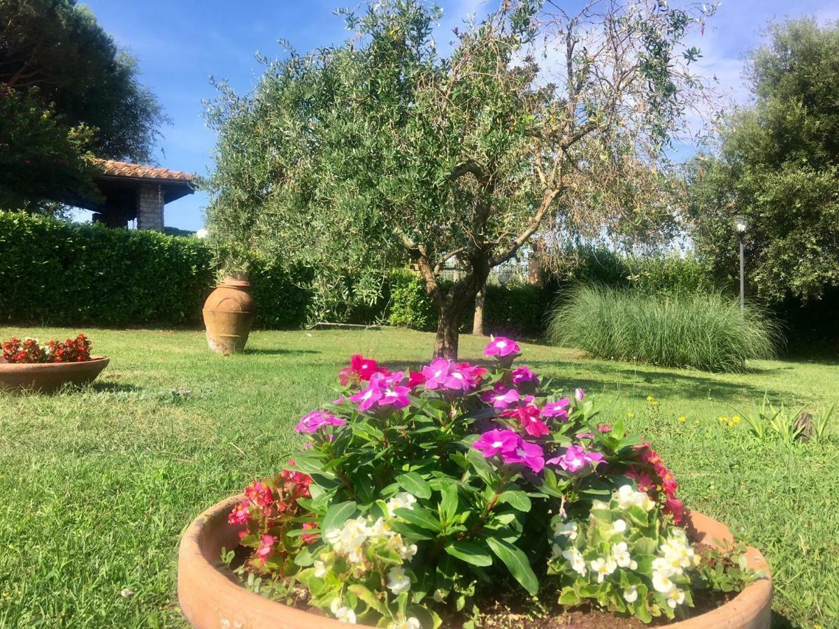 Agriturismo Terranera Scansano Kültér fotó